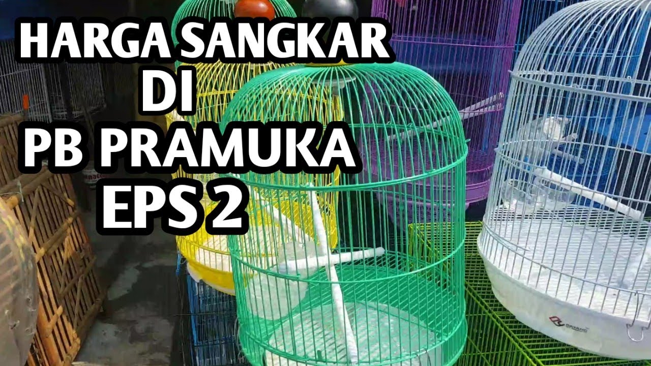 HARGA SANGKAR BURUNG ; EPS 2