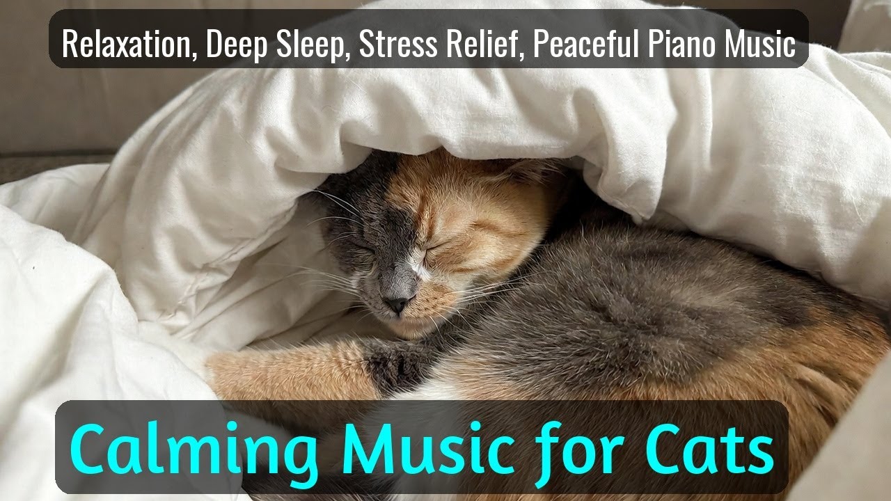 Calming Music for Cats - Relaxation, Deep Sleep, Stress Relief, Peaceful Piano Music | Season 29