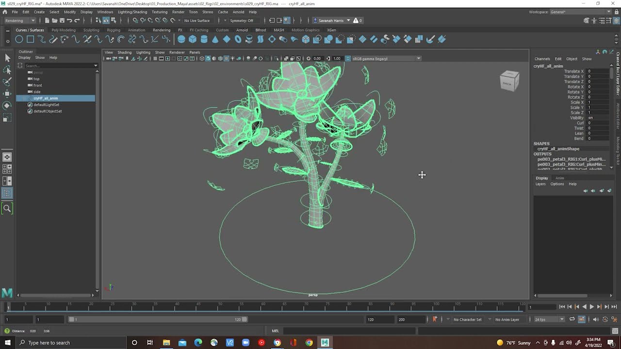Flower Rigs Demo Reel