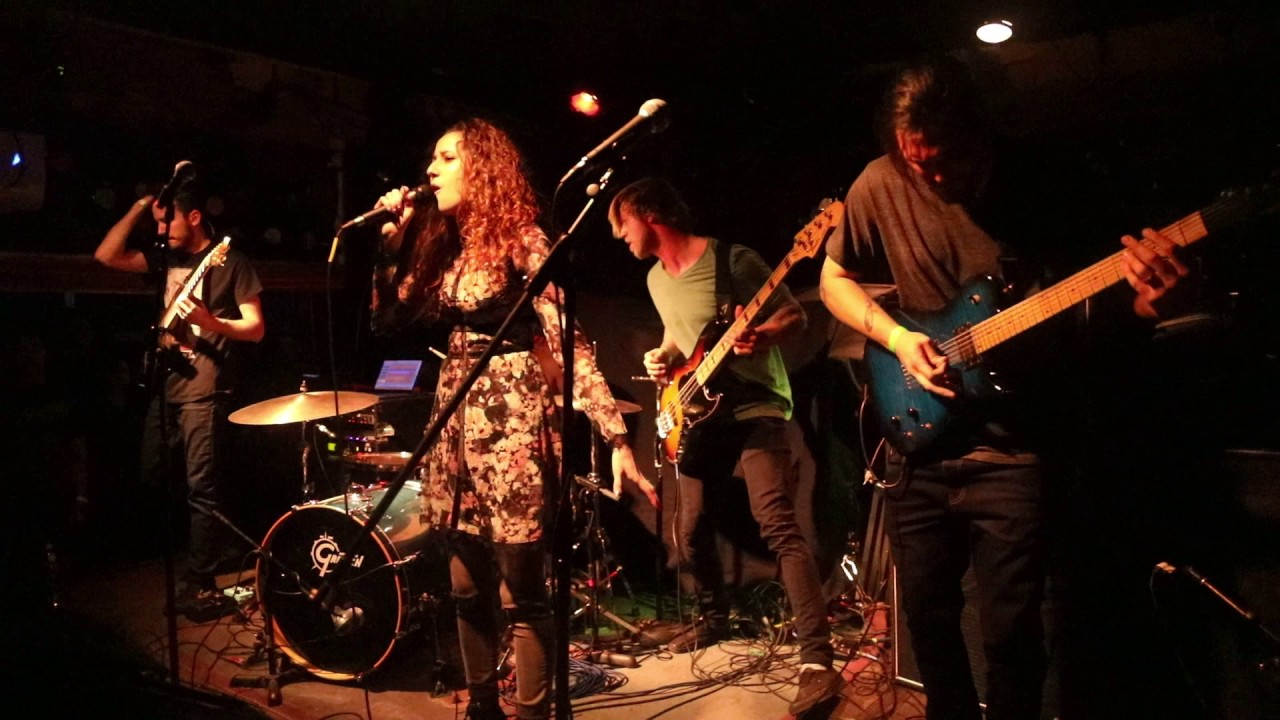 The Artificials - Stormwolf @ The Syndicate Lounge 3/17/2017  *  (Video by Jay Dexter)