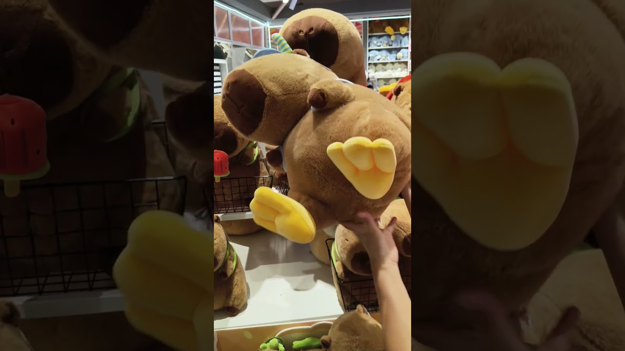 Cute plush capybara toys~  #cute #capybara