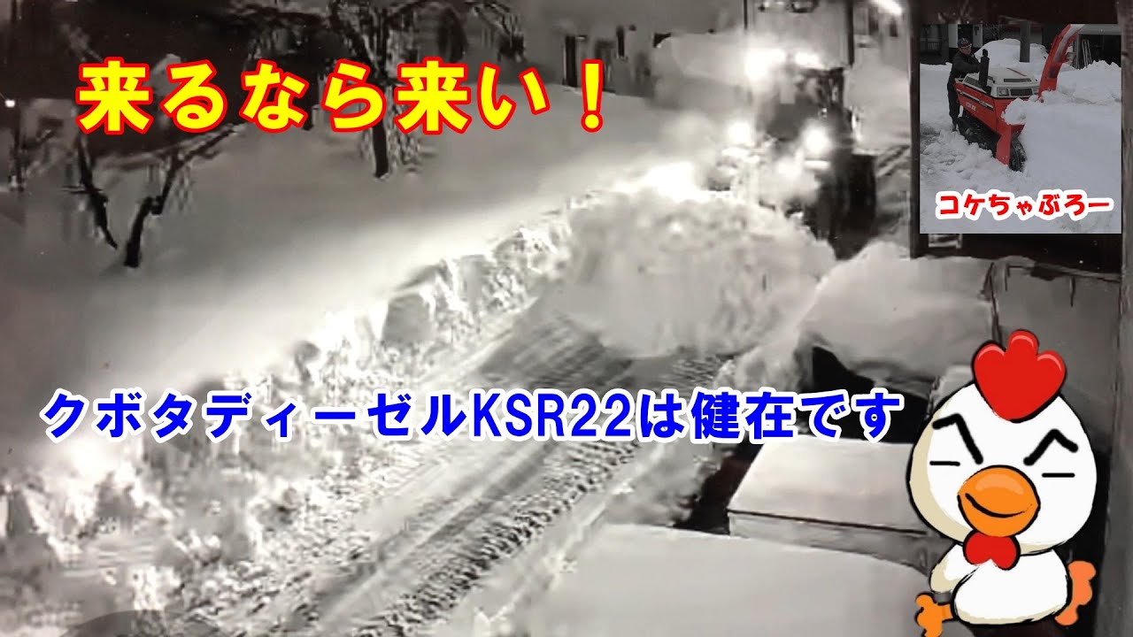 やっぱり降るんですね。クボタディーゼル２２馬力は健在です。