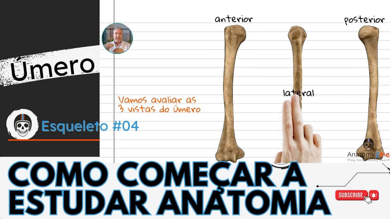 ESQUELETO HUMANO #04 - Nunca mais ESQUEÇA a Anatomia do Úmero! 🧠🦴
