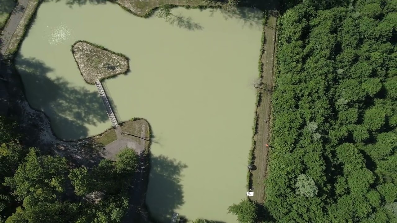 Carpodrome étang de Sommeilles, un petit coin de paradis dans la Meuse (55).