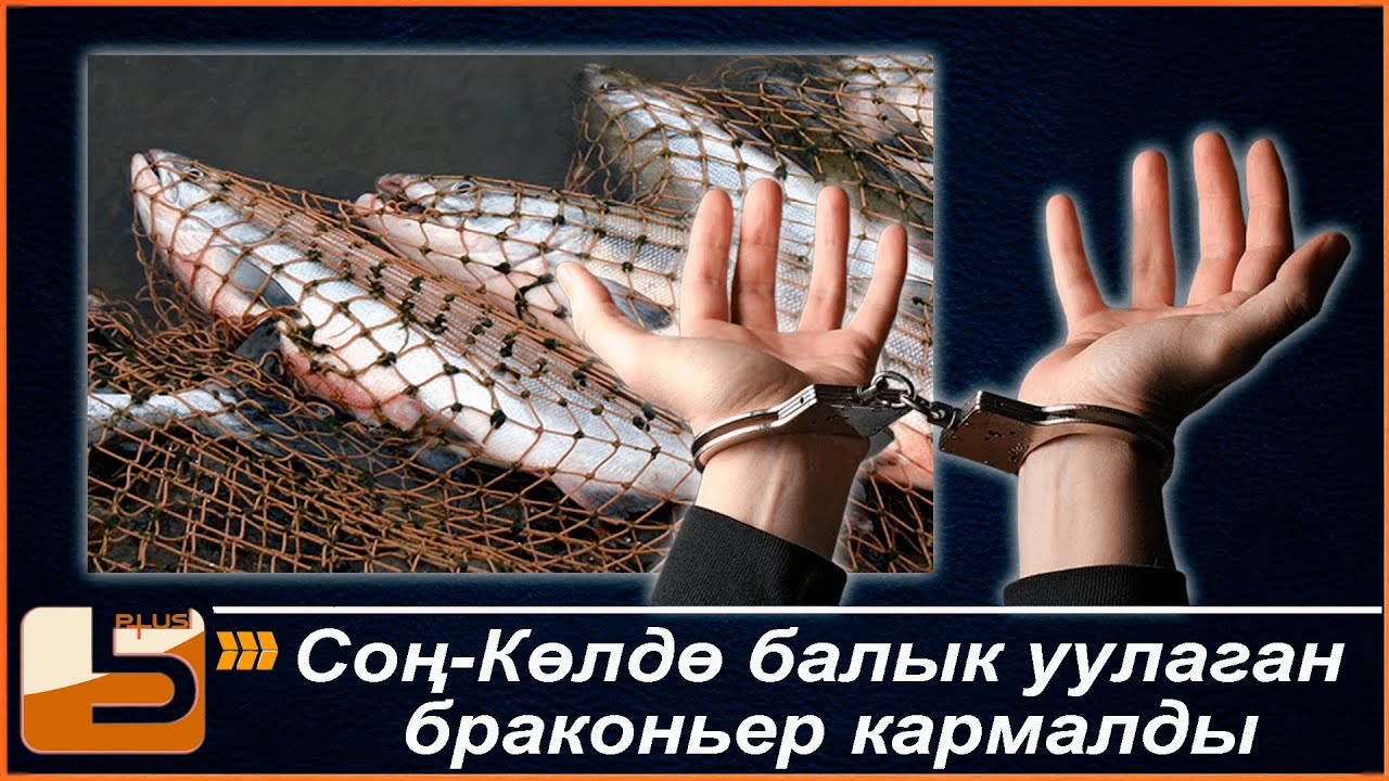 Соң Көлдө балык уулаган браконьер кармалды
