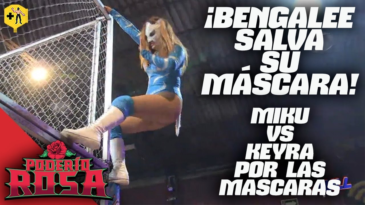 Bengalee salva su máscara. MÁSCARA vs MÁSCARA: Miku vs Keyra
