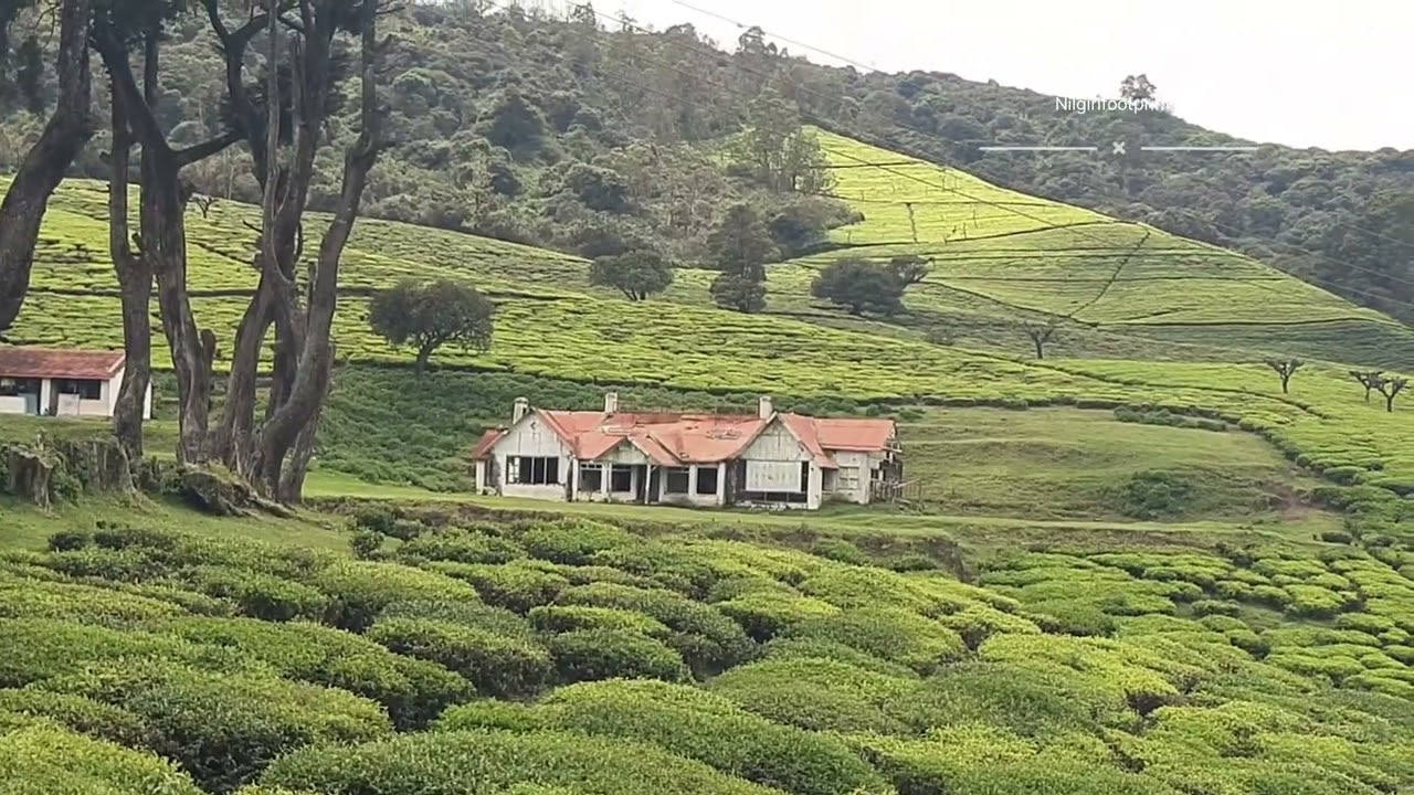Unseen Nilgiris #hungerford #hungerfordooty