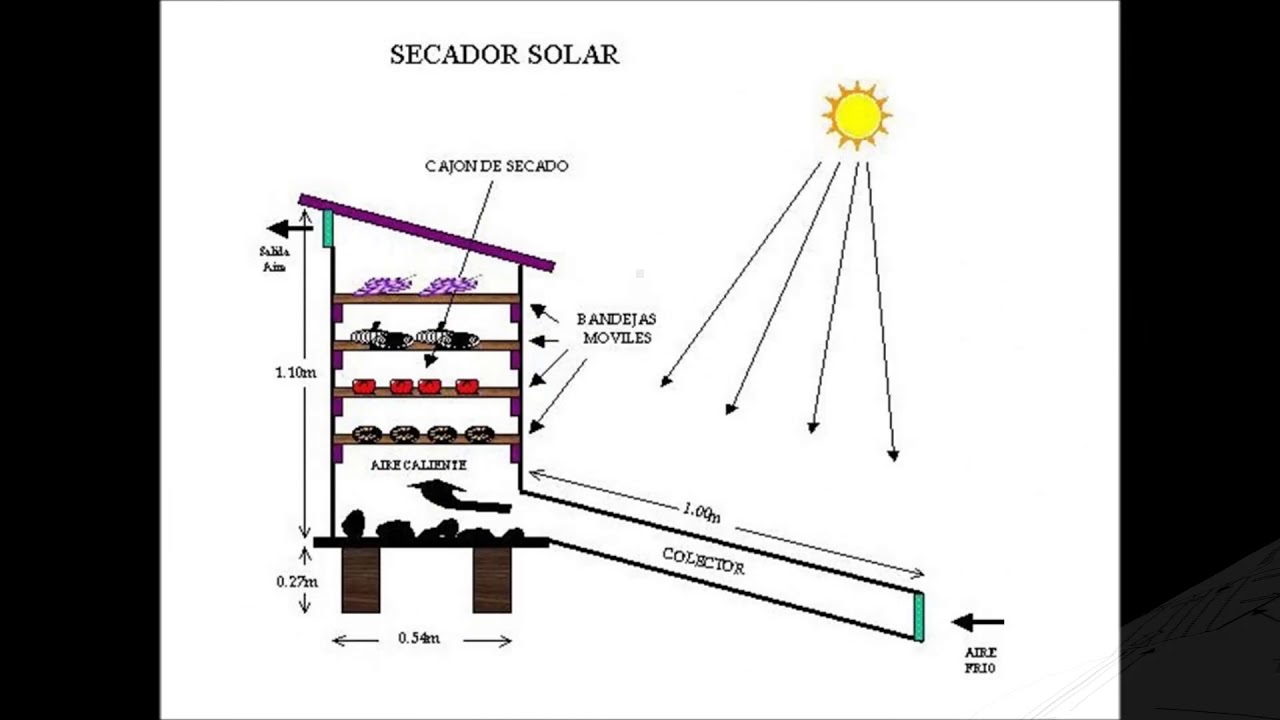 DESHIDRATADOR SOLAR