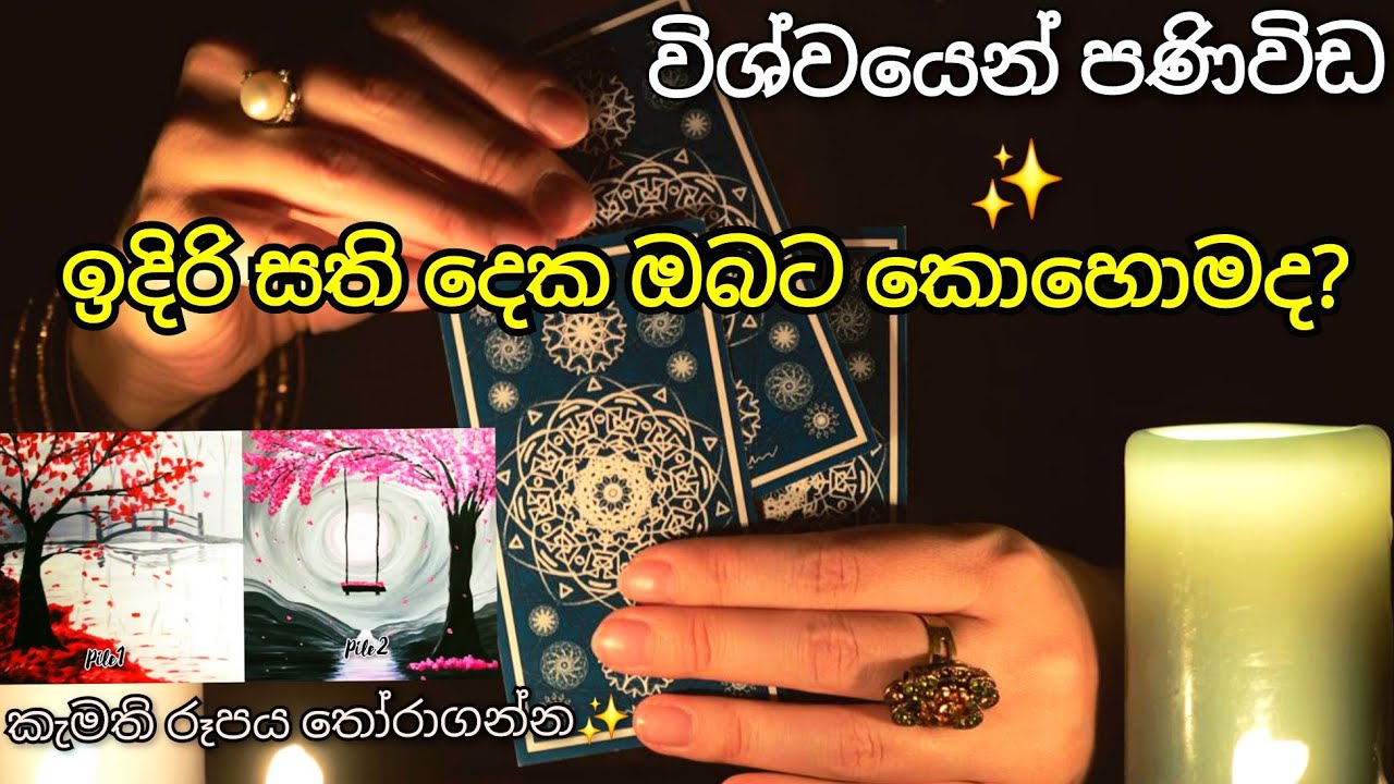 ඉදිරි සති දෙක ඔබට කොහොමද? 🤔 විශ්වයෙන් පණිවිඩ ✨️✉️ #tarotsinhala