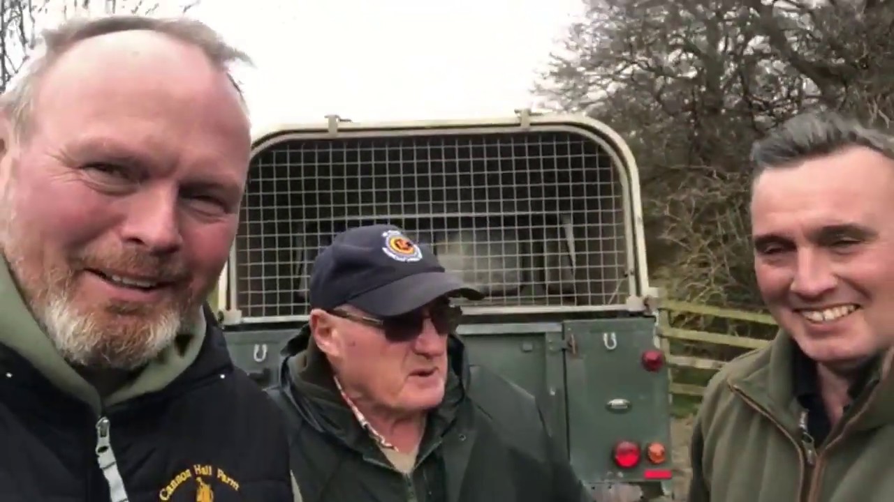 Bramble lamb rescued at Cannon Hall Farm