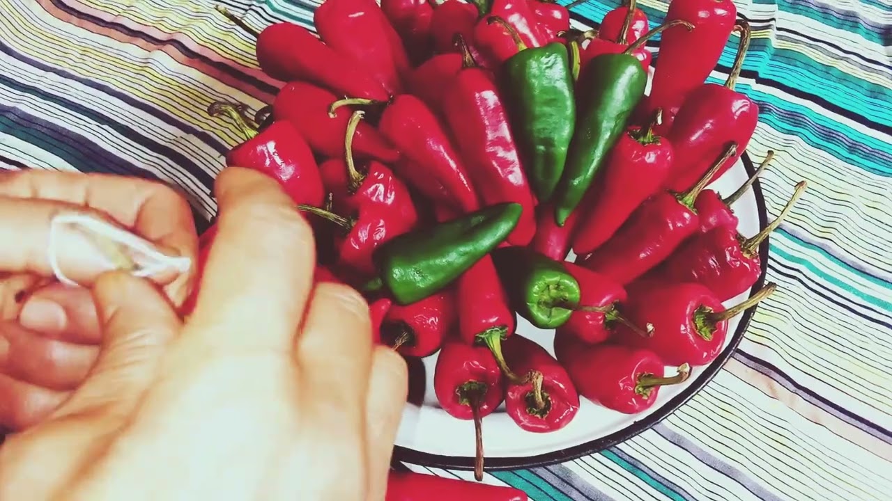 شريت الفلفلة حارة من السوق 🌶️و درتها فالخيط باش تنشف فالشمس🌞