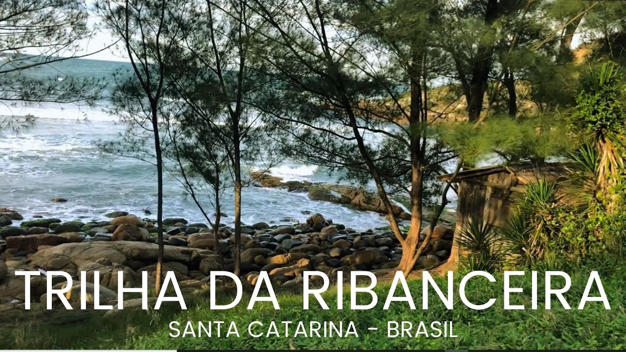 TRILHA PRAIA DA RIBANCEIRA | SANTA CATARINA - BRASIL