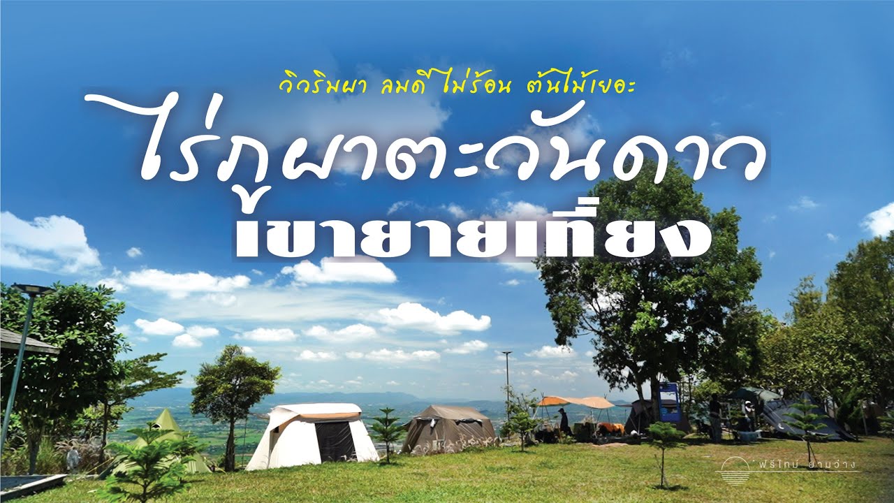 กางเต็นท์เขายายเที่ยง ไร่ภูผาตะวันดาว | ลานร่มรื่น มีลมตลอดทั้งวัน
