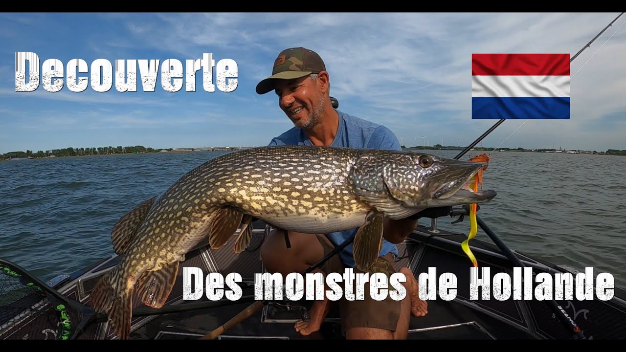 Gros brochets & Sandres en Hollande