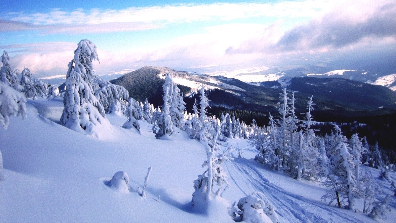 Paisaje invernal, naturaleza y deporte - Los Cárpatos