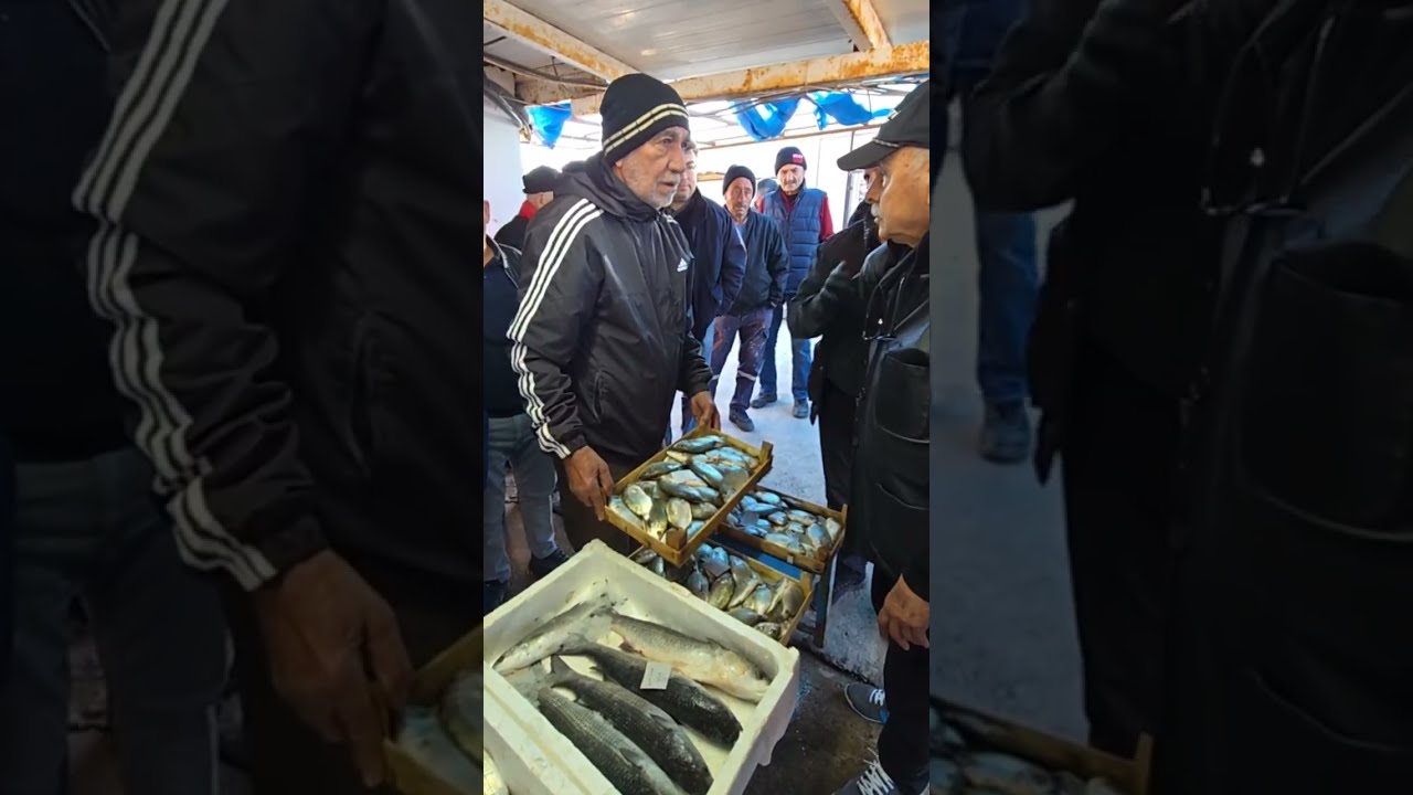 PUSULASIZ HAYAT BALIK MEZATINDA. 10 MART SALI. CANLI YAYIN.