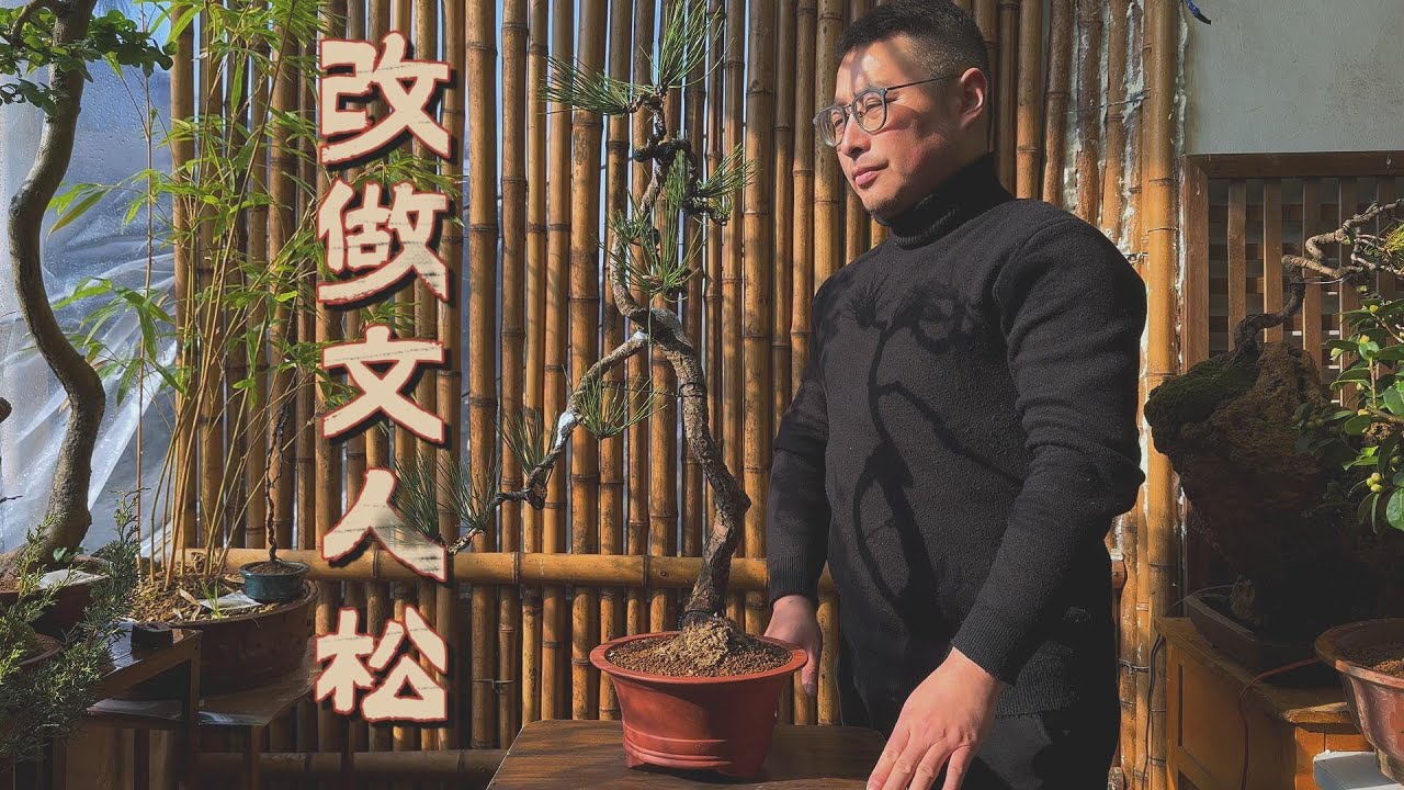 改做文人松