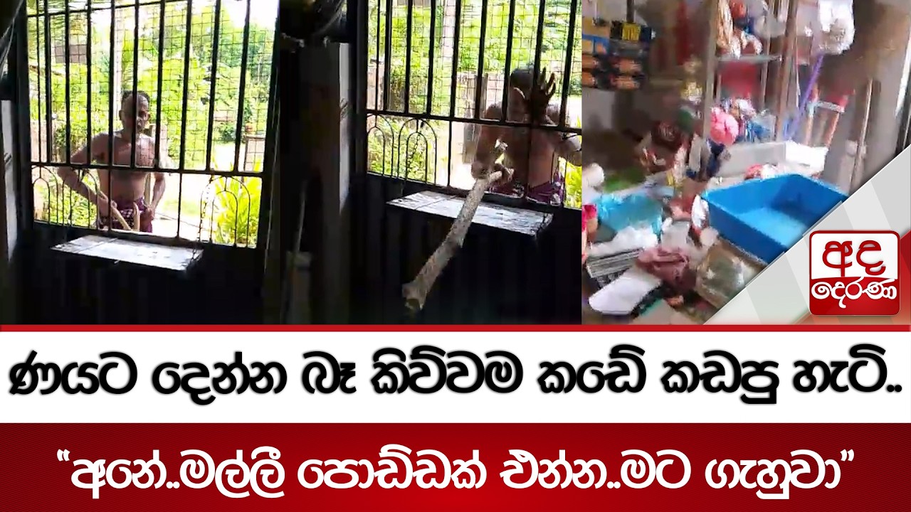 ණයට දෙන්න බෑ කිව්වම කඩේ කඩපු හැටි.. 