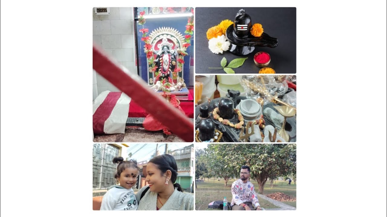 শিব পুজোর দিন কি কি করলাম 