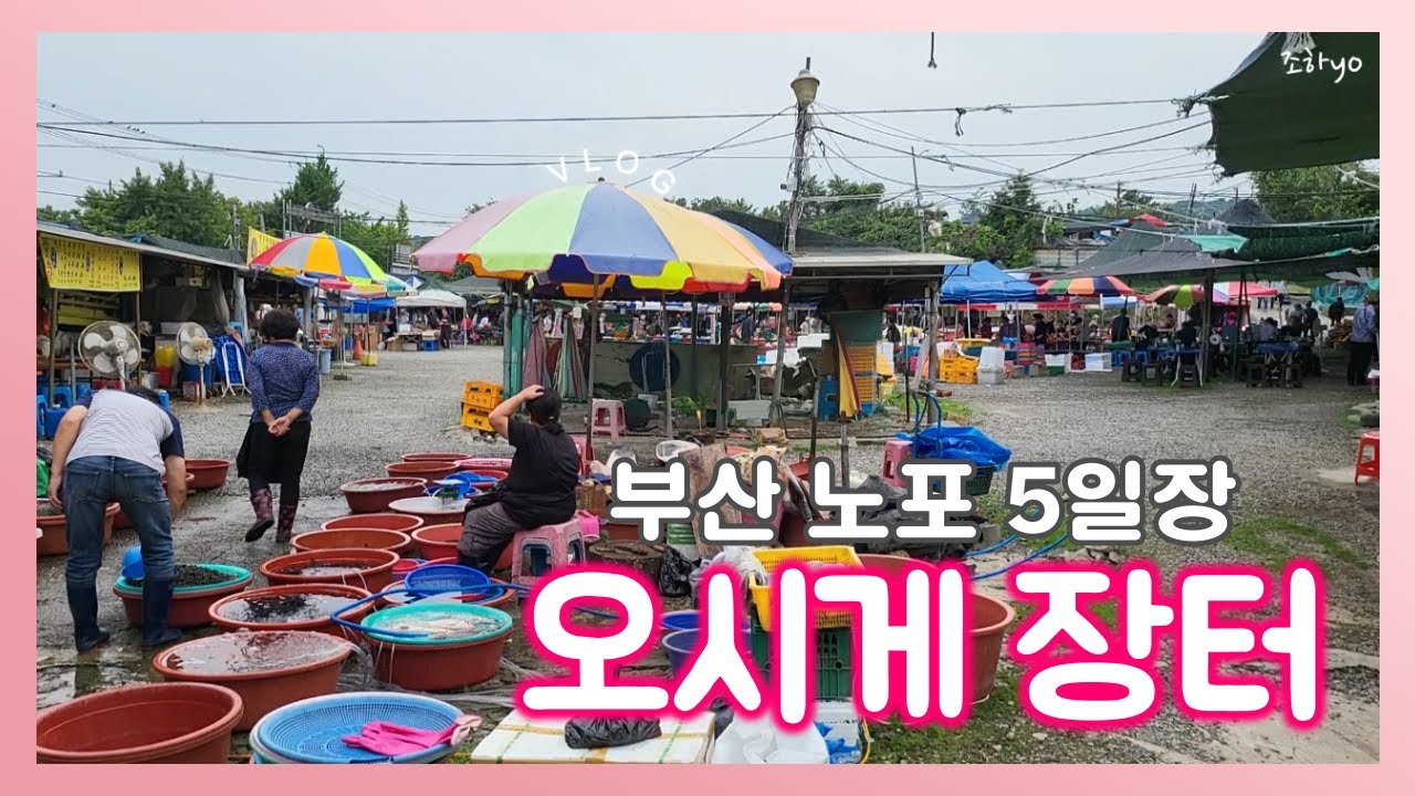 vlog | 추석 대목 저자거리 감성 그득그득한 오시게 5일장 | 부산 전통시장 풍경을 담은 주부의 일상 브이로그