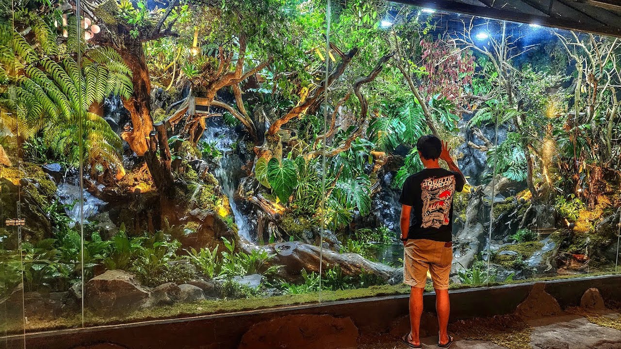 ROMBAK TOTAL AVIARY DI RUMAH OPA