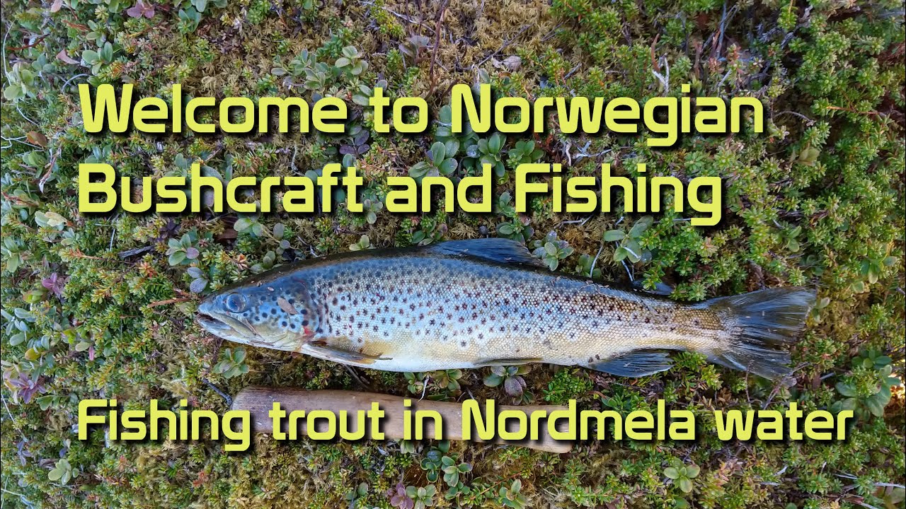Norwegian Bushcraft and Fishing -  Fishing in Nordmela water