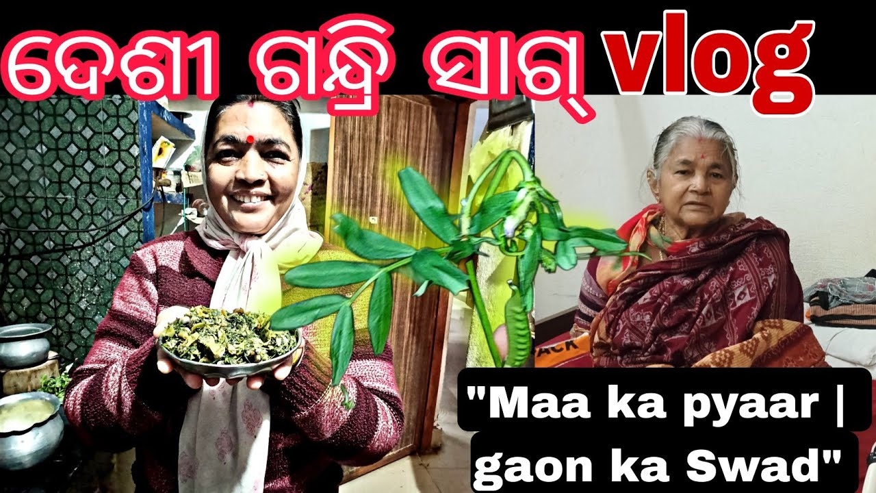ମା ଗାଁରୁ କଣ ଆଣିଥିଲେ? Mummy gaon se kya laayi? Gandhari Saag | Vlog