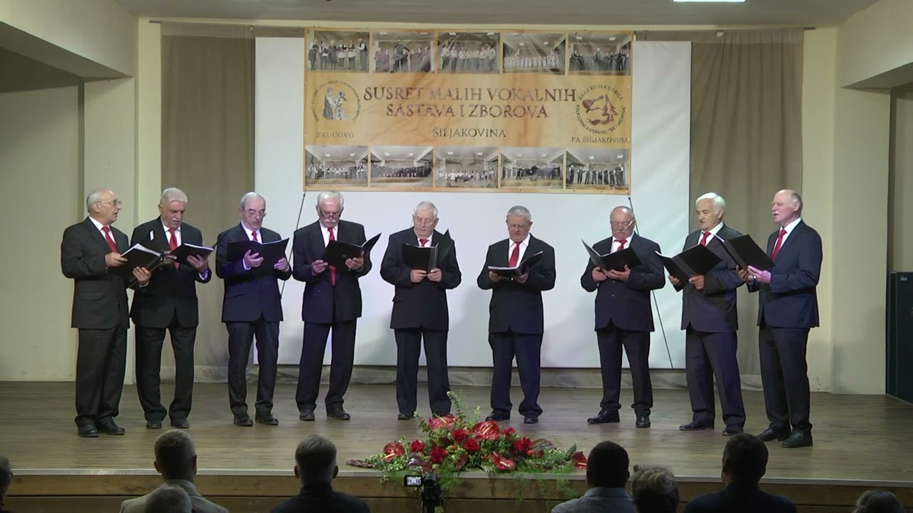 STARI PAJDAŠI   KAD U JESEN OTIŠLE SU LASTE