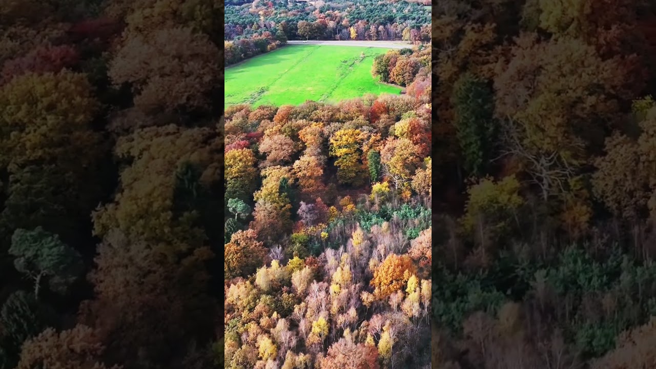 Bonte bossen van Beckum 