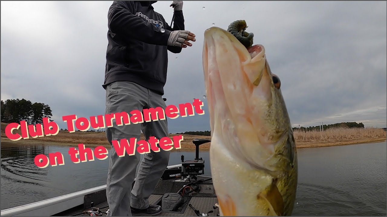 Weekend Club Tournament on Power Plant Lake I #bassfishing #sightfishing