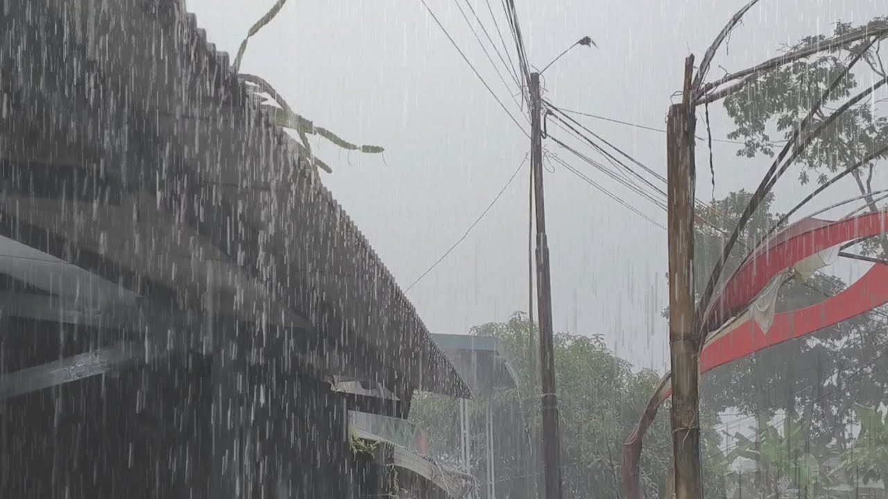 Relaxing Rain Sounds on the Roof for Deep Sleep | RAINY ATMOSPHERE