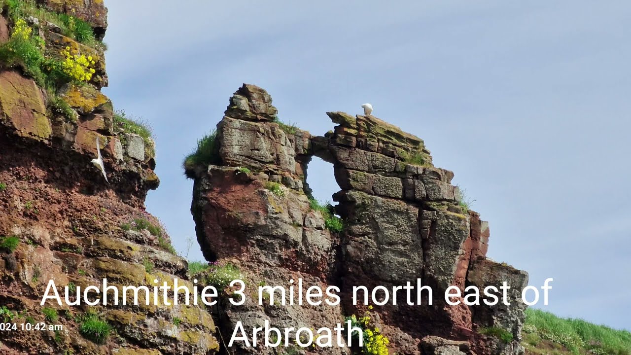 Auchmithie