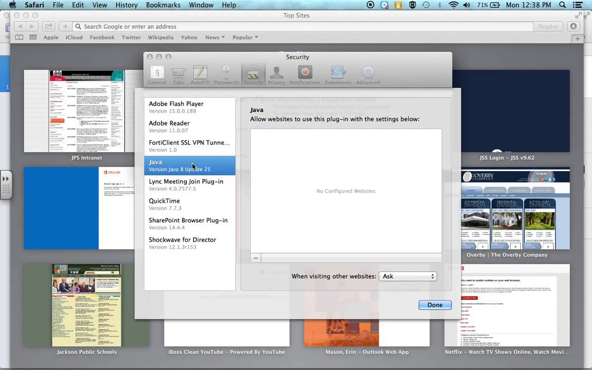 Activating Flash in Safari