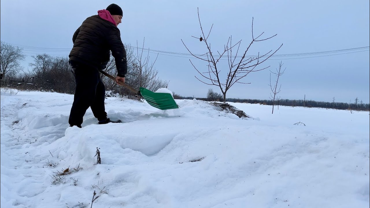 Подкормил деревья. Первых уже видно