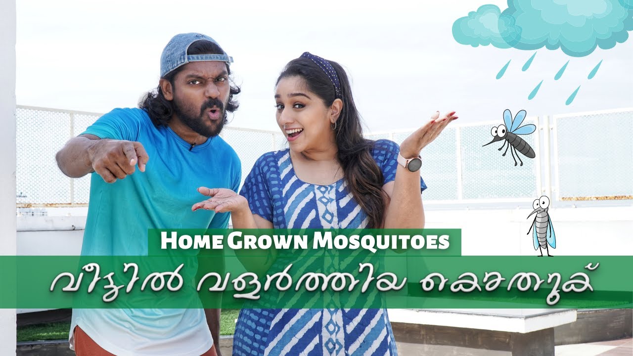 വീട്ടിൽ വളർത്തിയ കൊതുക് | Home Grown Mosquitoes | Vidhu Prathap | Deepthi | Sketch Video