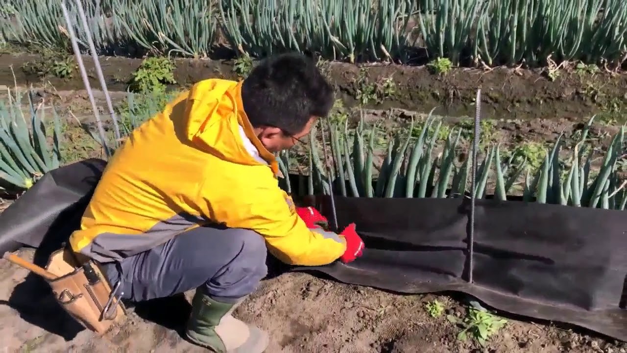 ねぎパンツの使用方法