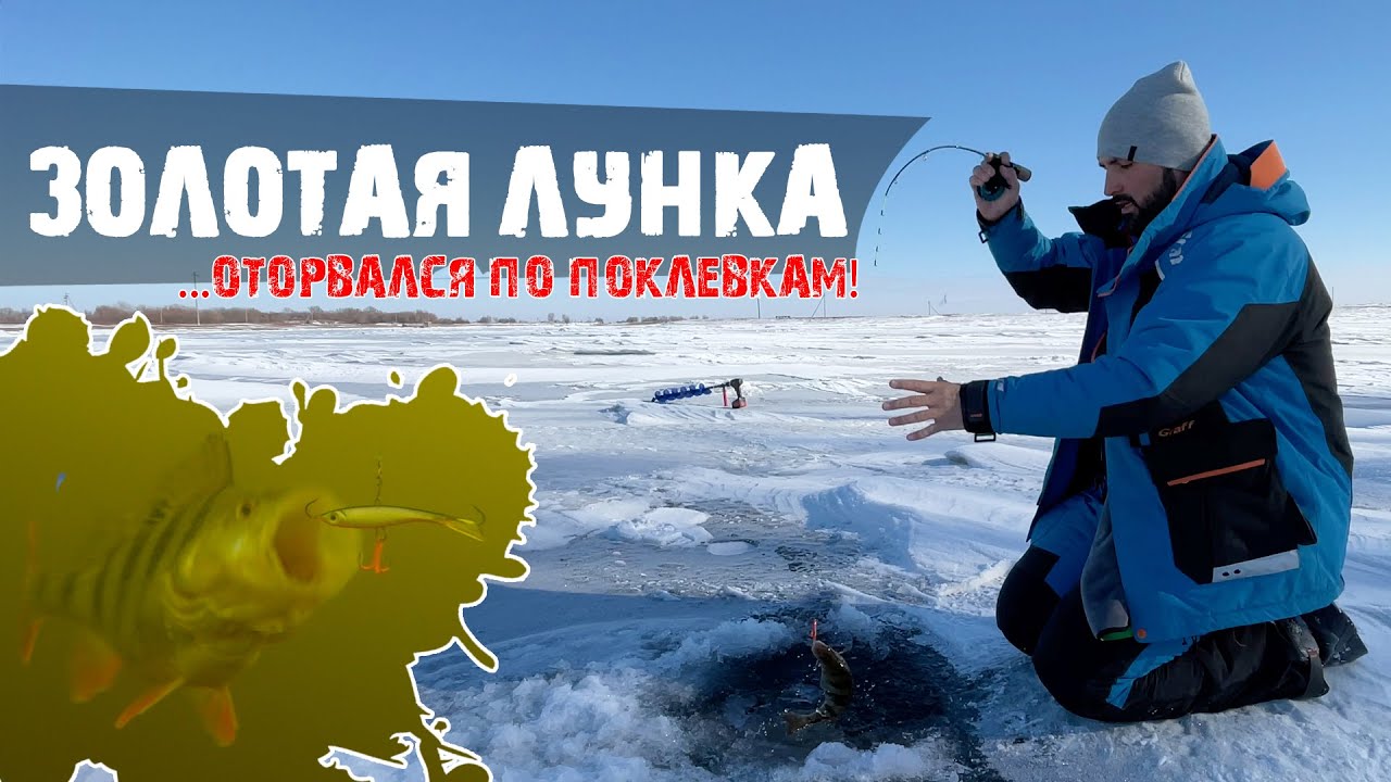 ОКУНЯ много и он клюет, нашел ЗОЛОТУЮ ЛУНКУ! Ловля окуня на балансир!