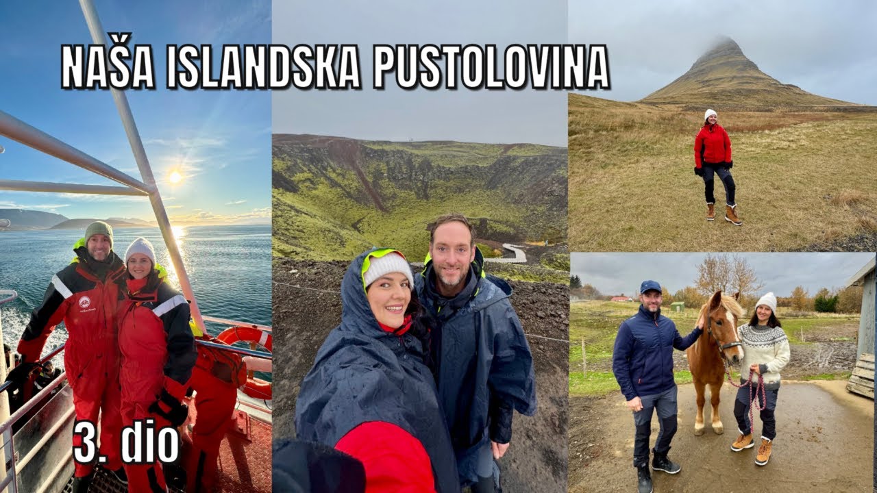 GRBAVI KITOVI I ŠETNJA PO VULKANU NA ISLANDU mama 4 djece