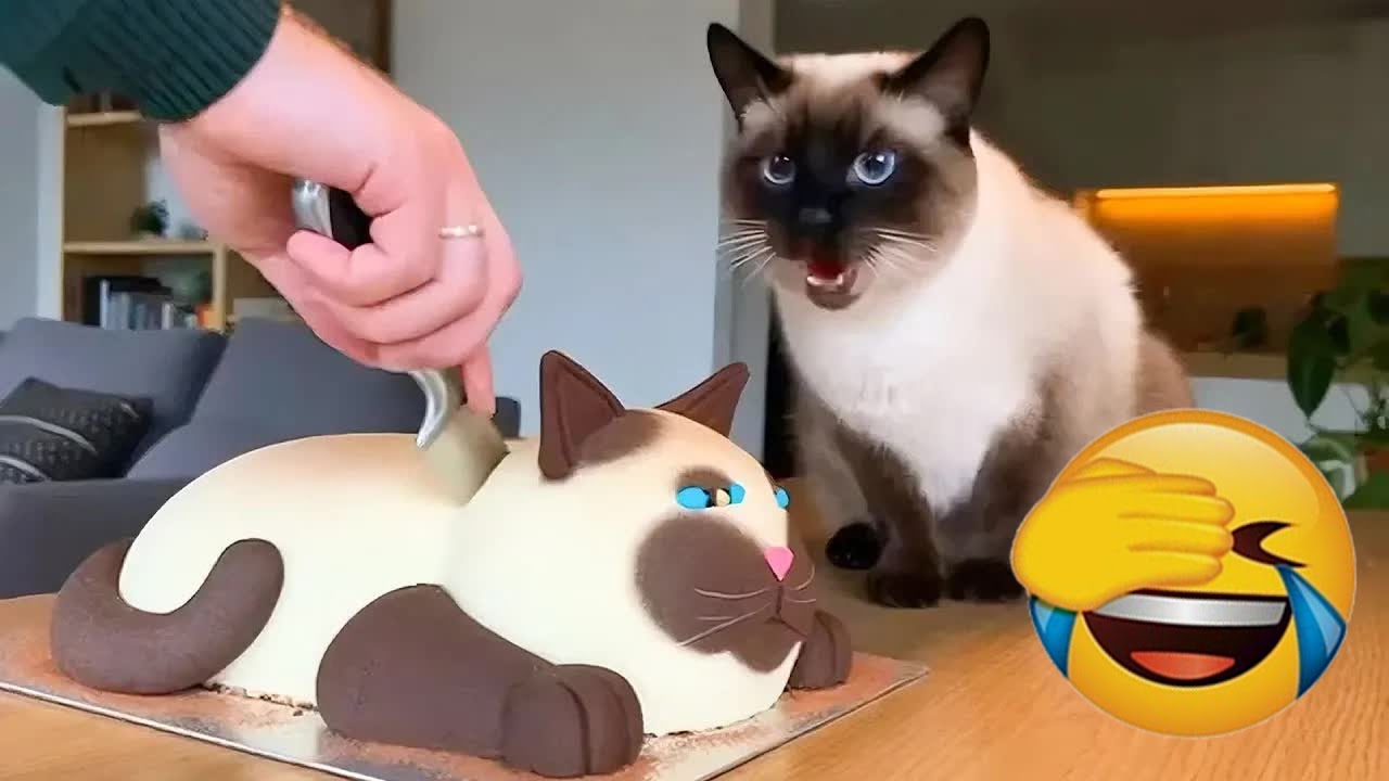 You Laugh You Lose😻Funniest Dogs and Cats 2026🐶 🌺 #funniestanimals #funnycatsdogs