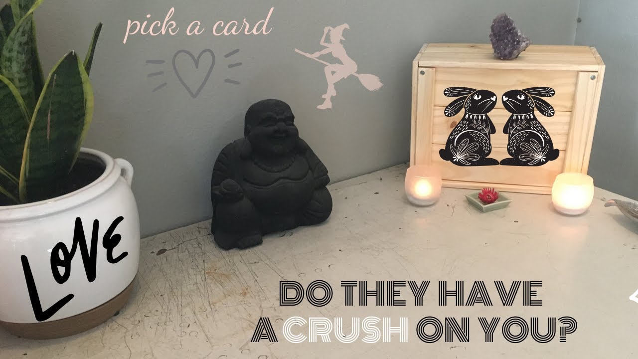 PICK A CARD: DO THEY HAVE A CRUSH ON YOU???