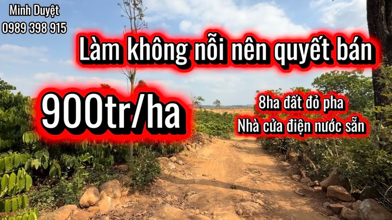 Lô 196| đất rẻ DaK Nông làm không nỗi nên bán 8ha 900 1ha nhà cửa diện nước sẵn. 