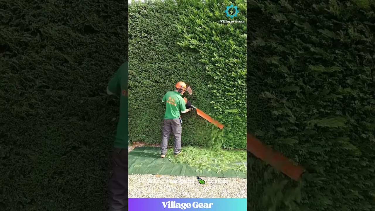 Hedge Trimming Level: EXPERT! 🌳 That's One Clean Haircut! #landscaping #satisfyingvideo #powertools