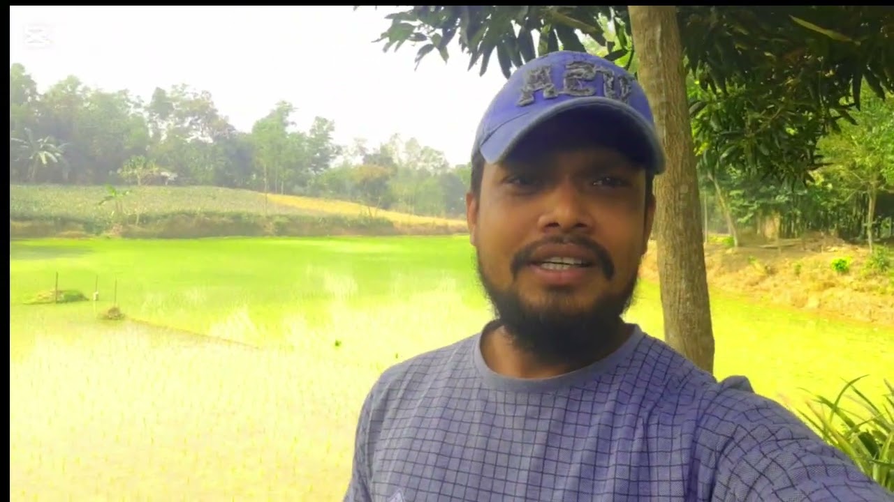 আমাদের পাহাড়ি গ্রাম মধুপুর টাঙ্গাইল 