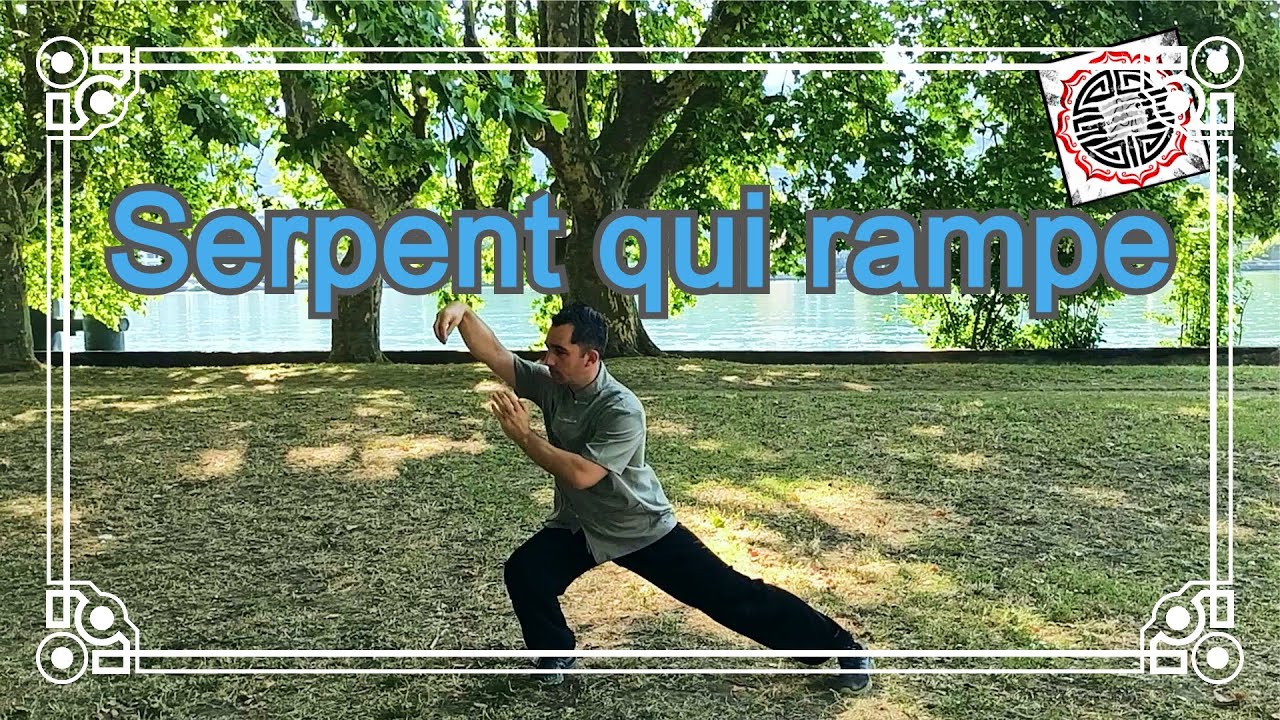 Taiji quan 24: serpent qui rampe