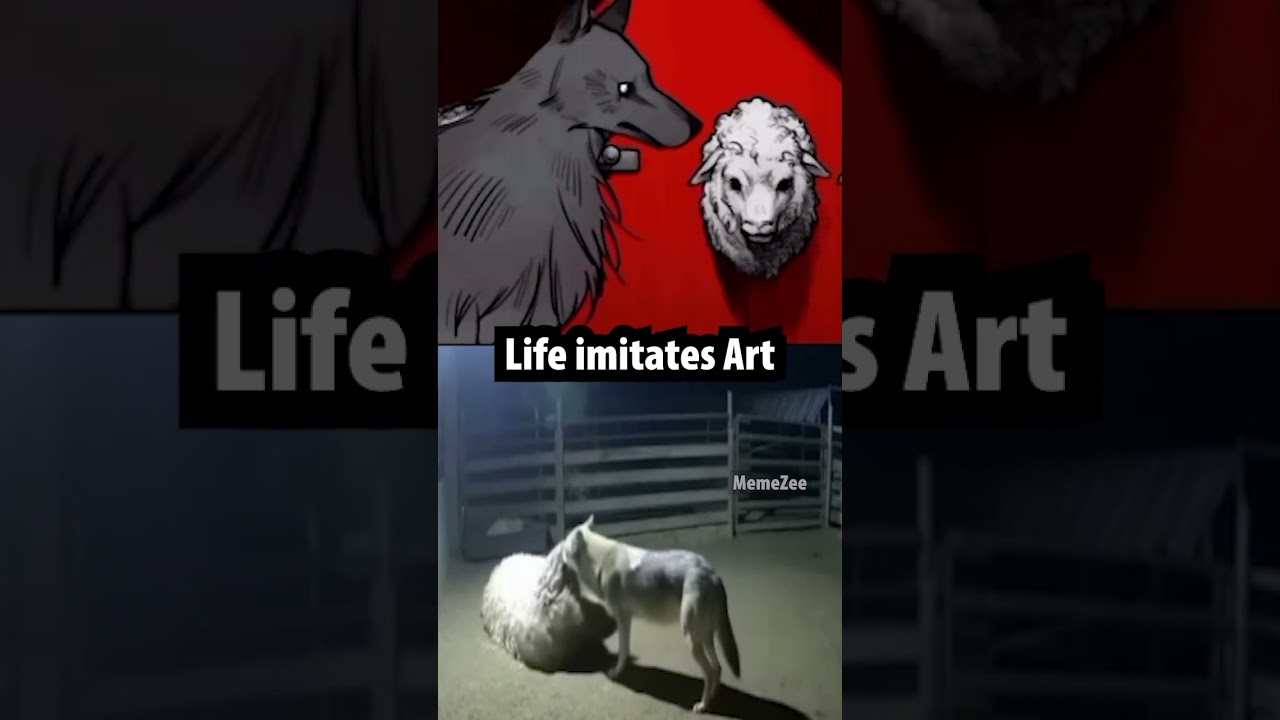 wolf in sheep's clothing