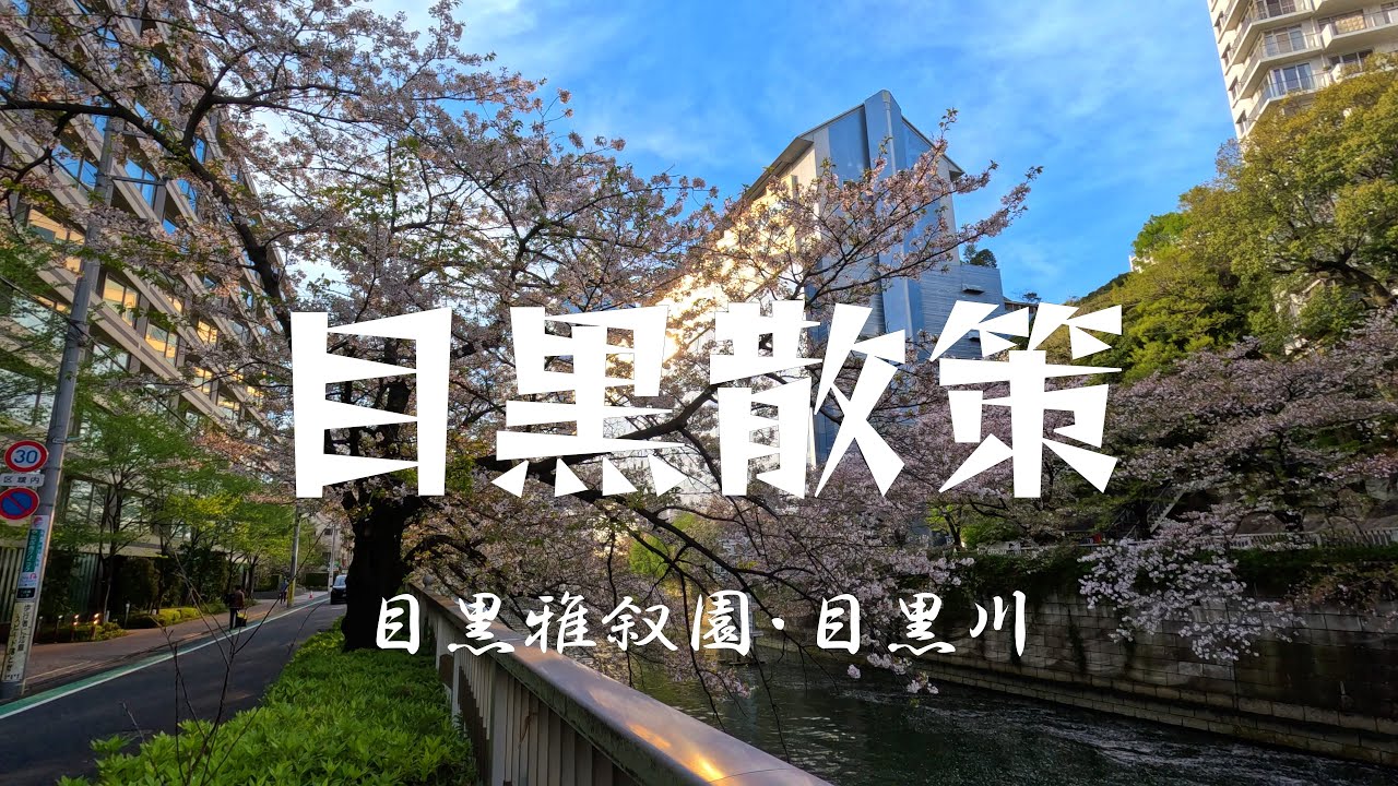 目黒散策の旅 | 目黒川花見・目黒雅叙園・0秒レモンサワー「ときわ亭」紹介 | 東京観光