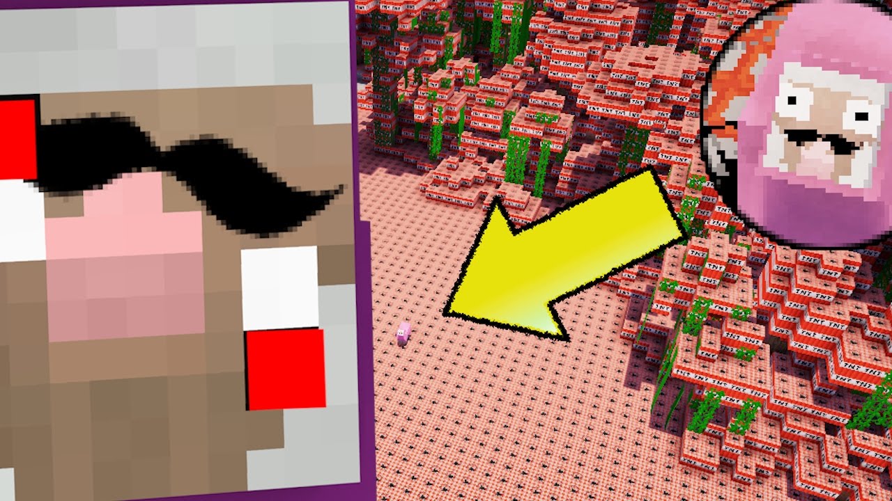 9,993,729,999,923,1219,87012,3p028,3 TNT VS PINK SHEeP