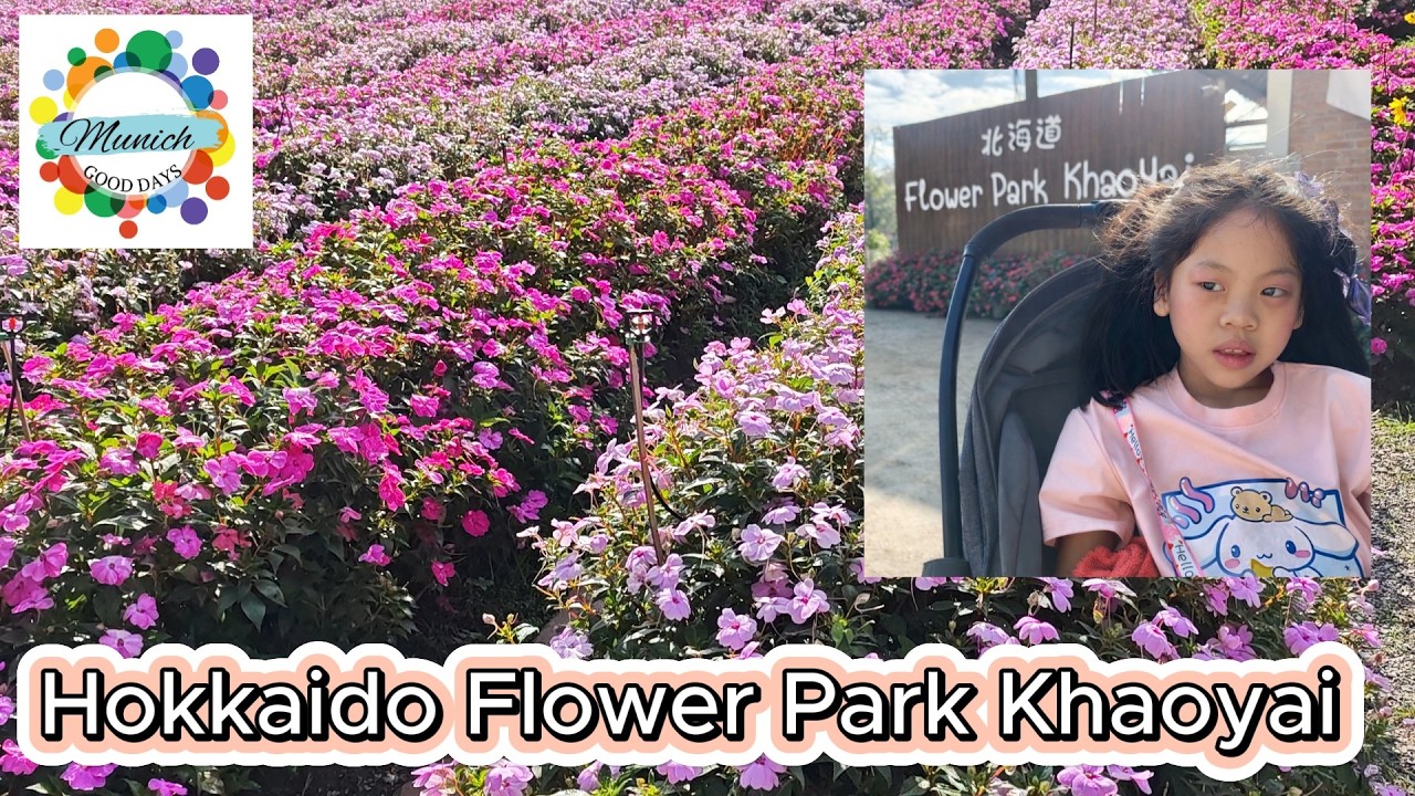 Hokkaido Flower Farm Khaoyai ทุ่งดอกไม้เขาใหญ่ บรรยากาศดี ถ่ายรูปสวยมาก!