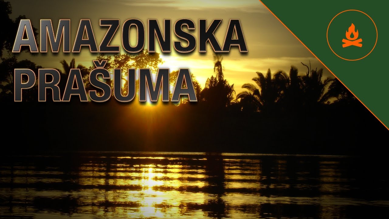 Amazonska Prašuma (Amazon Rainforest) - Pluća Zemlje - Bogatstvo i ljepota Prirode - Školski sat