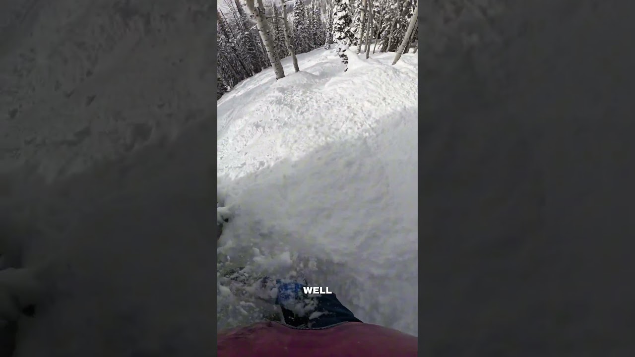 East coast amateur VS. West coast trees🙂&zwj;&harr;️ #explore #snowboarding #nature #trees #adventure